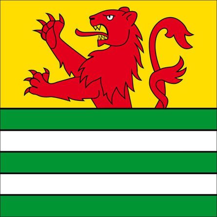 Balgach flag